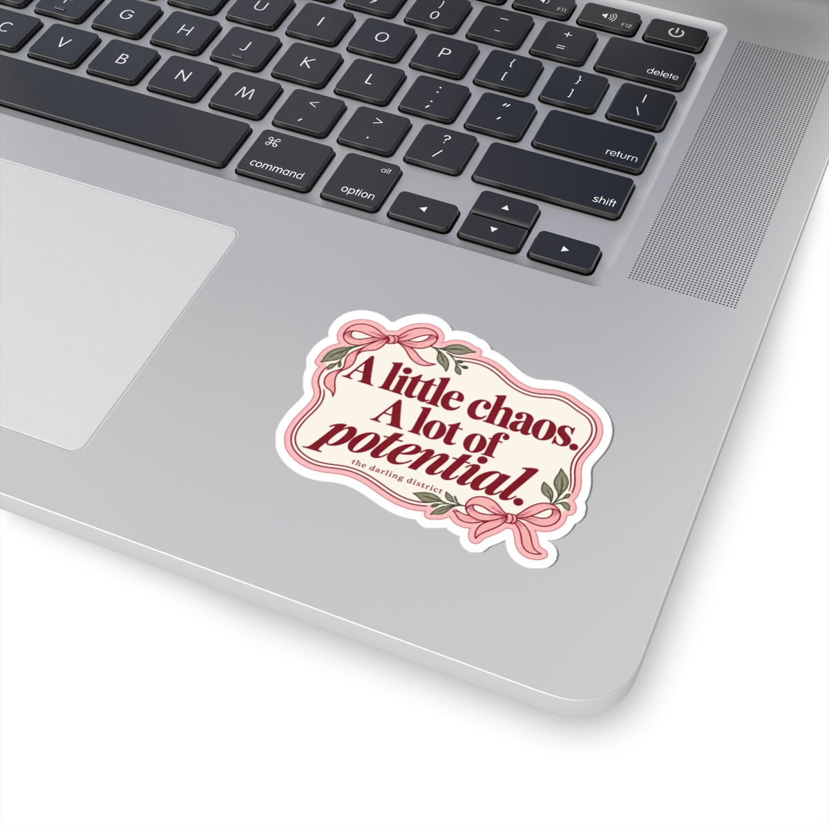 A Little Chaos A Lot of Potential Kiss-Cut Sticker